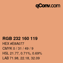 カラーコード: RGB 232 160 119 | qconv.com