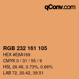 Color code: RGB 232 161 105 | qconv.com