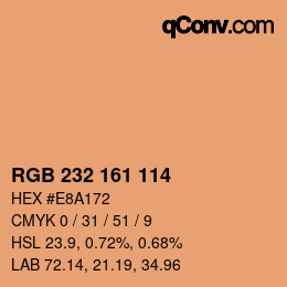 Color code: RGB 232 161 114 | qconv.com