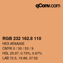 カラーコード: RGB 232 162.8 110 | qconv.com