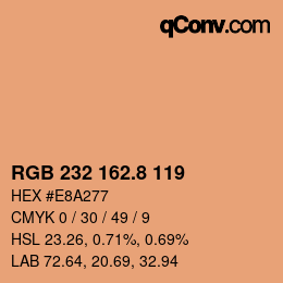 カラーコード: RGB 232 162.8 119 | qconv.com