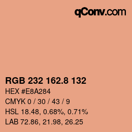 カラーコード: RGB 232 162.8 132 | qconv.com
