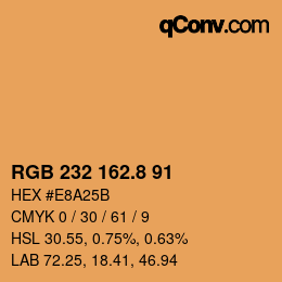 カラーコード: RGB 232 162.8 91 | qconv.com