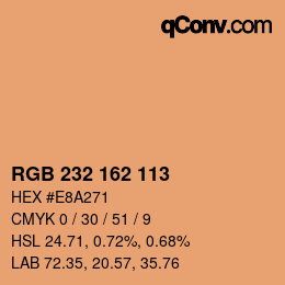 Color code: RGB 232 162 113 | qconv.com