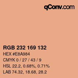 Color code: RGB 232 169 132 | qconv.com