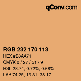 Color code: RGB 232 170 113 | qconv.com