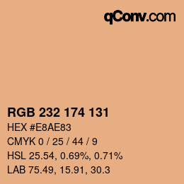 Color code: RGB 232 174 131 | qconv.com