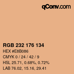 Color code: RGB 232 176 134 | qconv.com