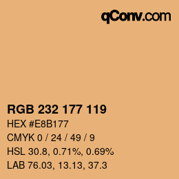 Color code: RGB 232 177 119 | qconv.com