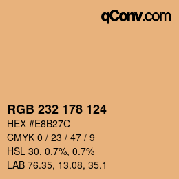 Color code: RGB 232 178 124 | qconv.com