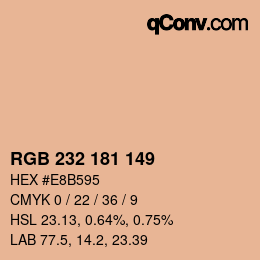 Color code: RGB 232 181 149 | qconv.com