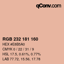 Color code: RGB 232 181 160 | qconv.com