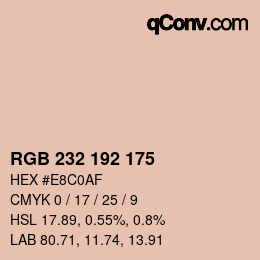Color code: RGB 232 192 175 | qconv.com