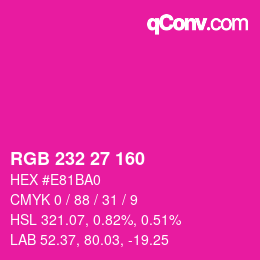 Color code: RGB 232 27 160 | qconv.com