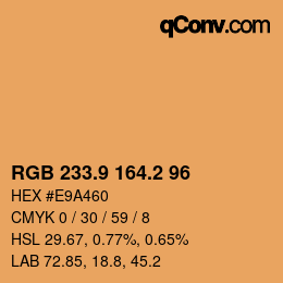 Color code: RGB 233.9 164.2 96 | qconv.com