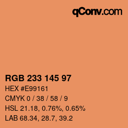 Código de color: RGB 233 145 97 | qconv.com