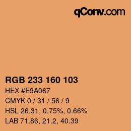 Color code: RGB 233 160 103 | qconv.com