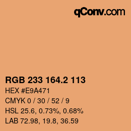 Farbcode: RGB 233 164.2 113 | qconv.com