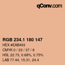 Color code: RGB 234.1 180 147 | qconv.com