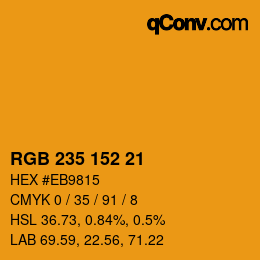 Color code: RGB 235 152 21 | qconv.com