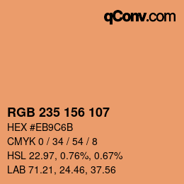Color code: RGB 235 156 107 | qconv.com