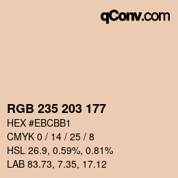 Color code: RGB 235 203 177 | qconv.com