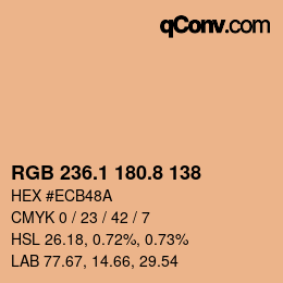 Color code: RGB 236.1 180.8 138 | qconv.com