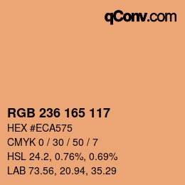 カラーコード: RGB 236 165 117 | qconv.com