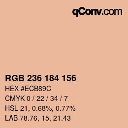 Color code: RGB 236 184 156 | qconv.com