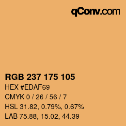 Color code: RGB 237 175 105 | qconv.com