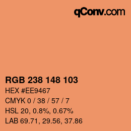 Color code: RGB 238 148 103 | qconv.com