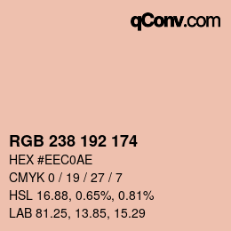 Color code: RGB 238 192 174 | qconv.com