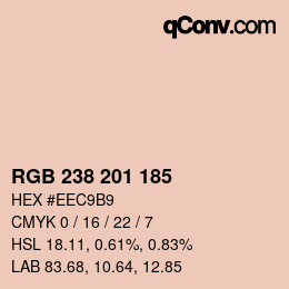 Color code: RGB 238 201 185 | qconv.com