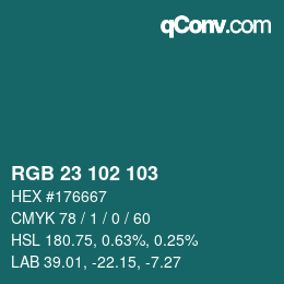 Color code: RGB 23 102 103 | qconv.com