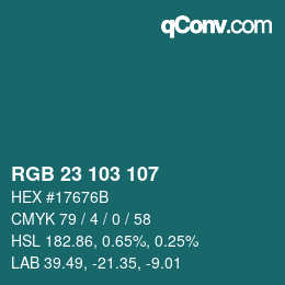 カラーコード: RGB 23 103 107 | qconv.com