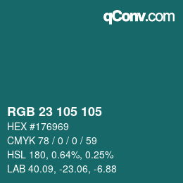 カラーコード: RGB 23 105 105 | qconv.com