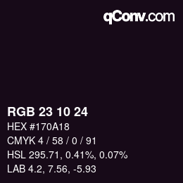 Color code: RGB 23 10 24 | qconv.com