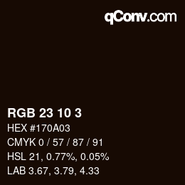 颜色代码: RGB 23 10 3 | qconv.com