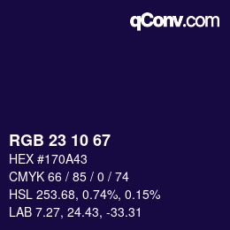 Color code: RGB 23 10 67 | qconv.com