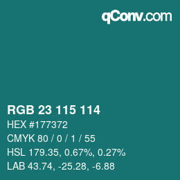 Color code: RGB 23 115 114 | qconv.com