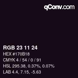 カラーコード: RGB 23 11 24 | qconv.com