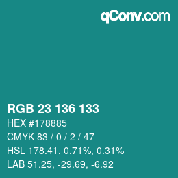 Color code: RGB 23 136 133 | qconv.com