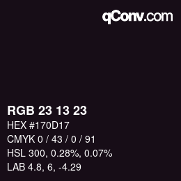 颜色代码: RGB 23 13 23 | qconv.com