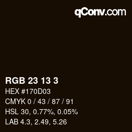 颜色代码: RGB 23 13 3 | qconv.com