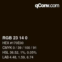 Color code: RGB 23 14 0 | qconv.com
