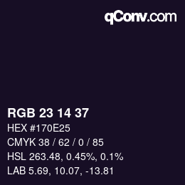 颜色代码: RGB 23 14 37 | qconv.com