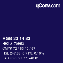 Color code: RGB 23 14 83 | qconv.com