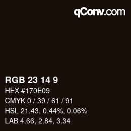 カラーコード: RGB 23 14 9 | qconv.com