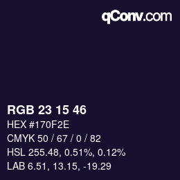 Color code: RGB 23 15 46 | qconv.com