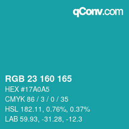 Color code: RGB 23 160 165 | qconv.com